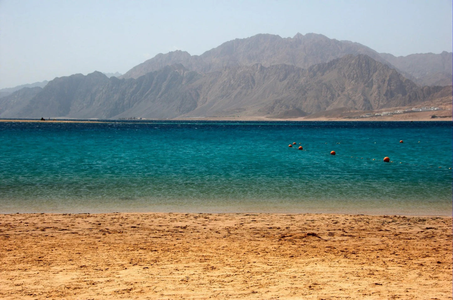 From Sharm El Sheikh: Ras Mohammed National Park Half Day Tour by Bus