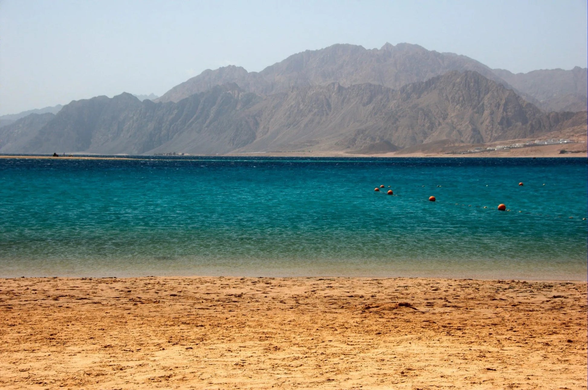 From Sharm El Sheikh: Ras Mohammed National Park Half Day Tour by Bus
