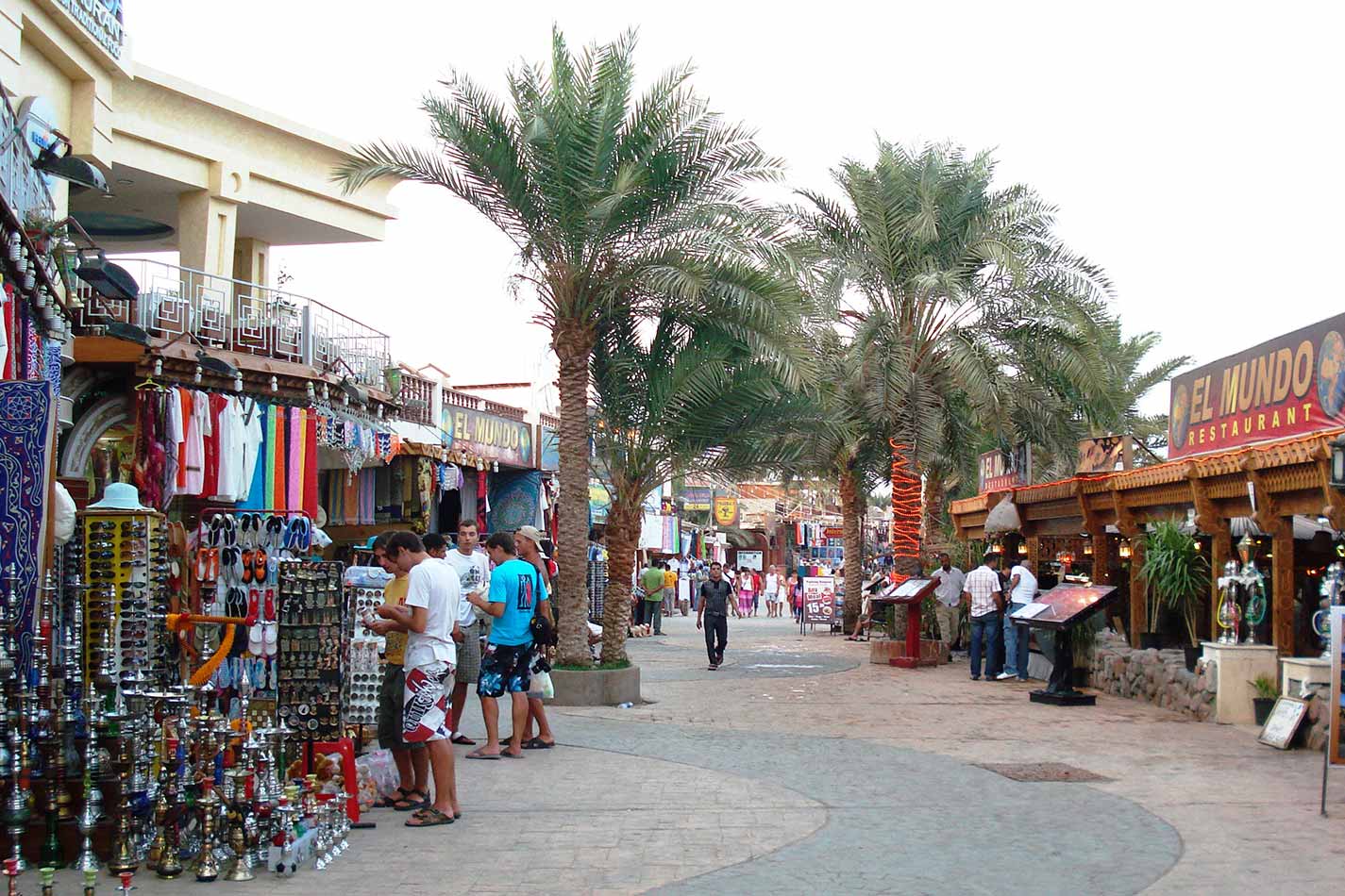 From Sharm El Sheikh: Saint Catherine’s Monastery and Dahab City Tour