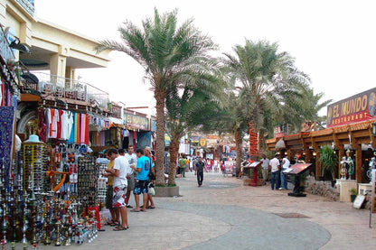 From Sharm El Sheikh: Saint Catherine’s Monastery and Dahab City Tour