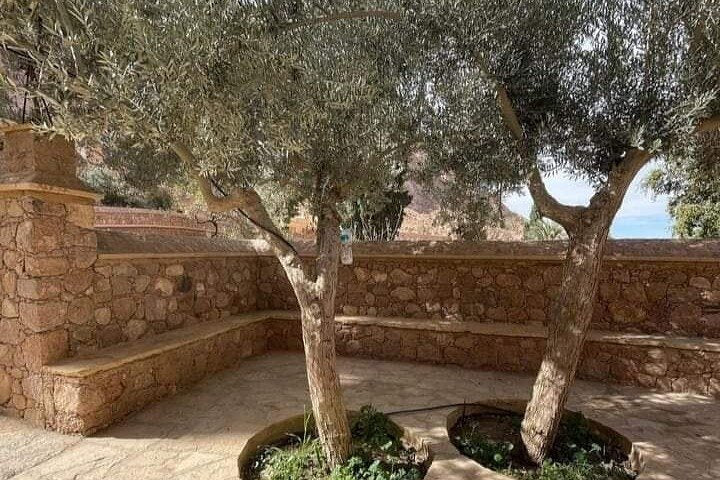From Sharm El Sheikh: Saint Catherine’s Monastery and Dahab City Tour