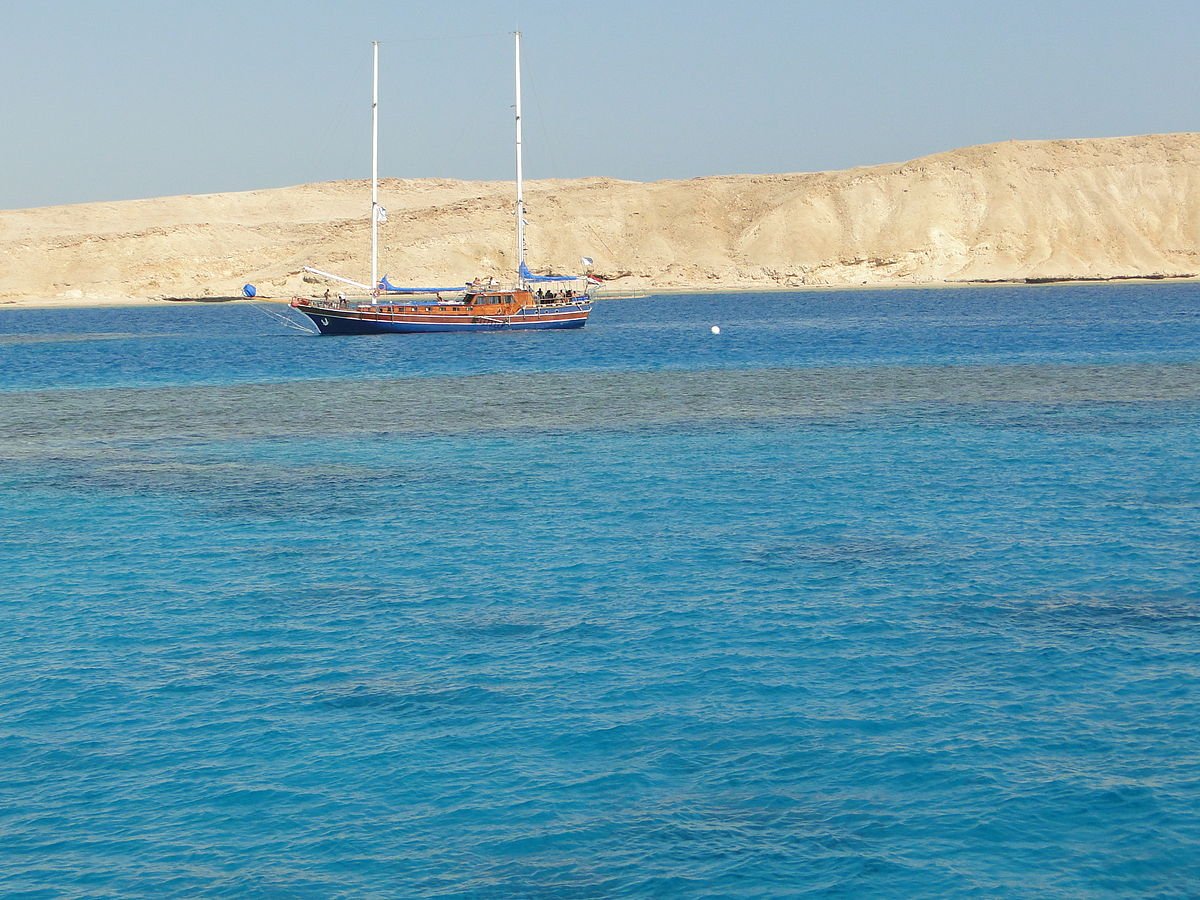 From Sharm El Sheikh: Snorkeling Day Trip to Tiran Island