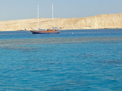 From Sharm El Sheikh: Snorkeling Day Trip to Tiran Island