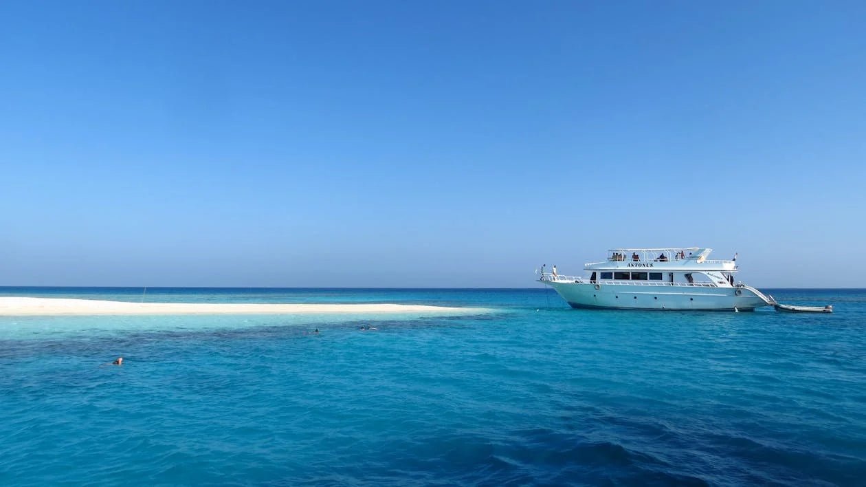 From Sharm El Sheikh: Snorkeling Day Trip to Tiran Island