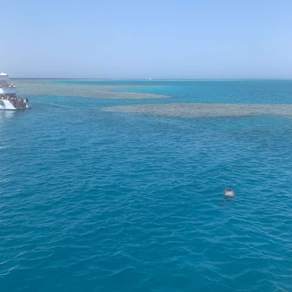From Sharm El Sheikh: Snorkeling Day Trip to Tiran Island
