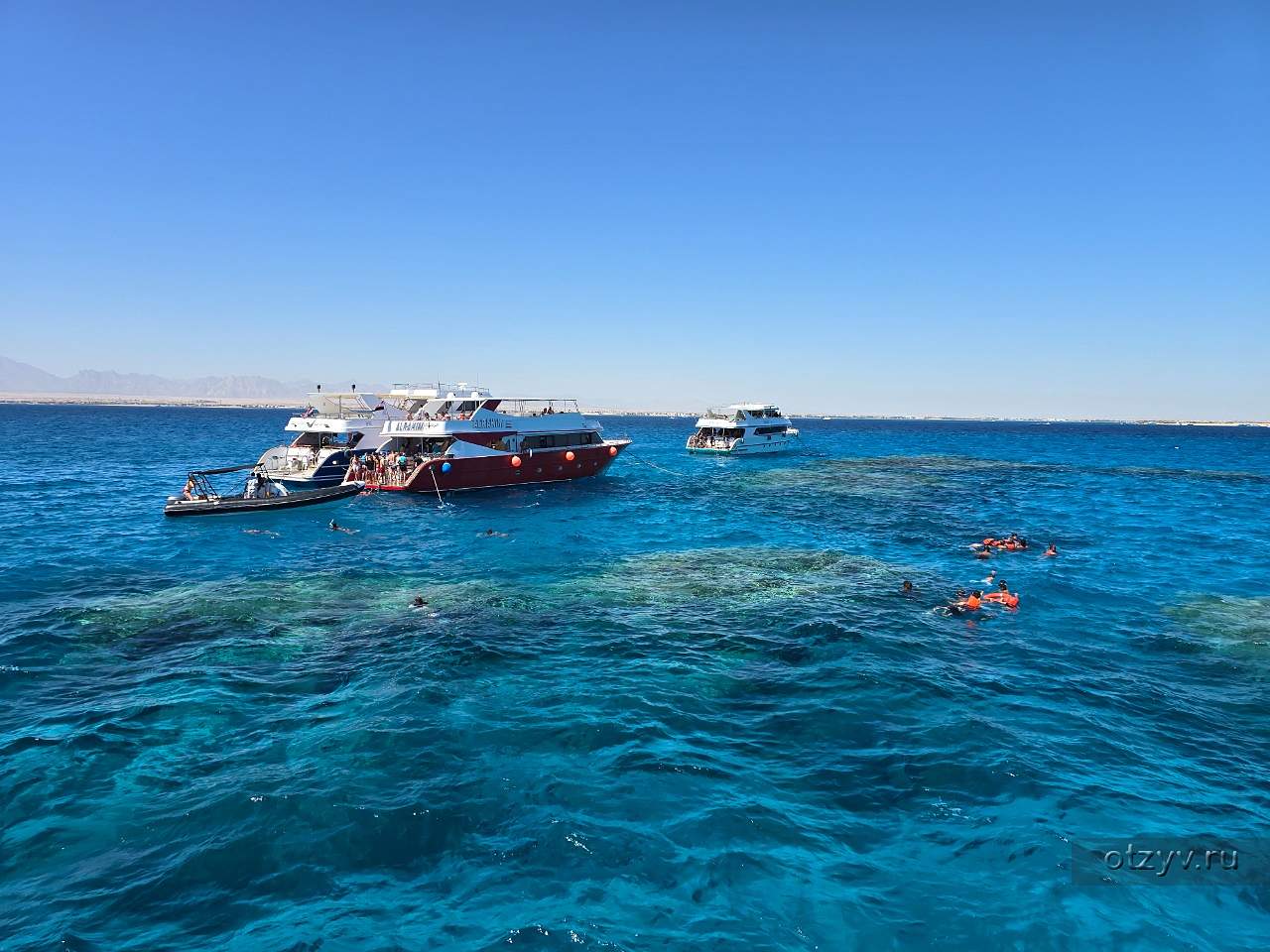 From Sharm El Sheikh: Snorkeling Day Trip to Tiran Island