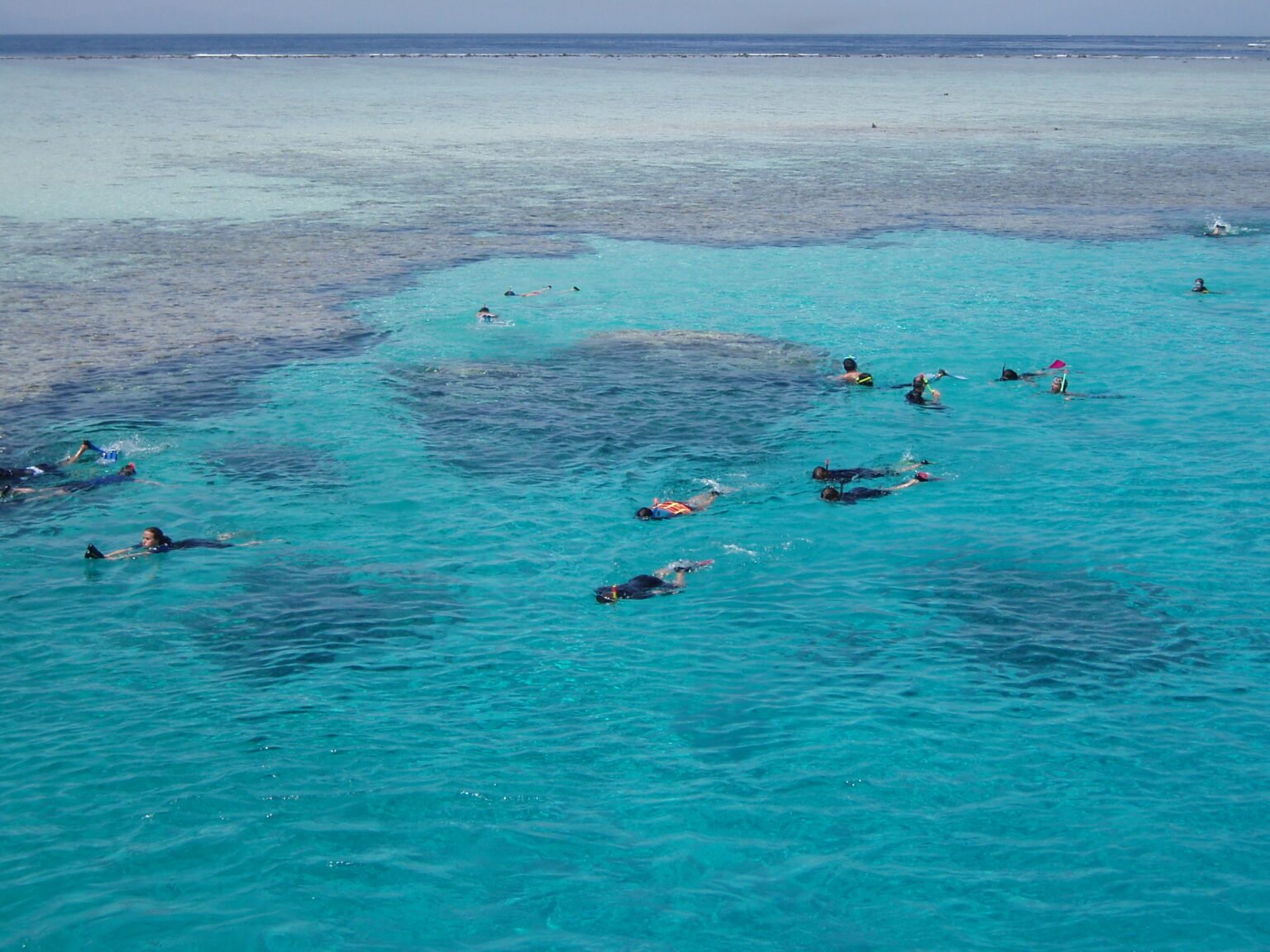 From Sharm El Sheikh: Snorkeling Day Trip to Tiran Island