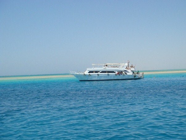 From Sharm El Sheikh: Snorkeling Day Trip to Tiran Island