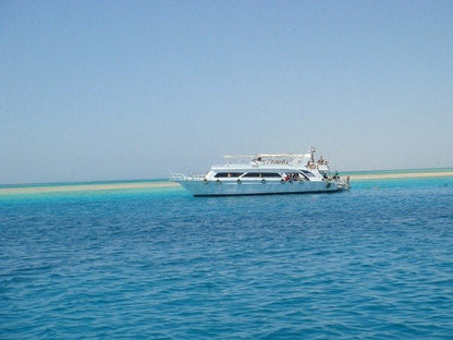 From Sharm El Sheikh: Snorkeling Day Trip to Tiran Island