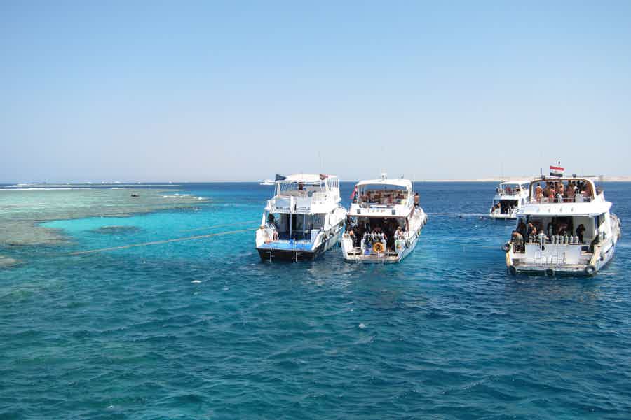 From Sharm El Sheikh: Snorkeling Day Trip to Tiran Island