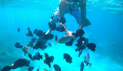 From Ubud: ATV Ride and Blue Lagoon Snorkeling Tour