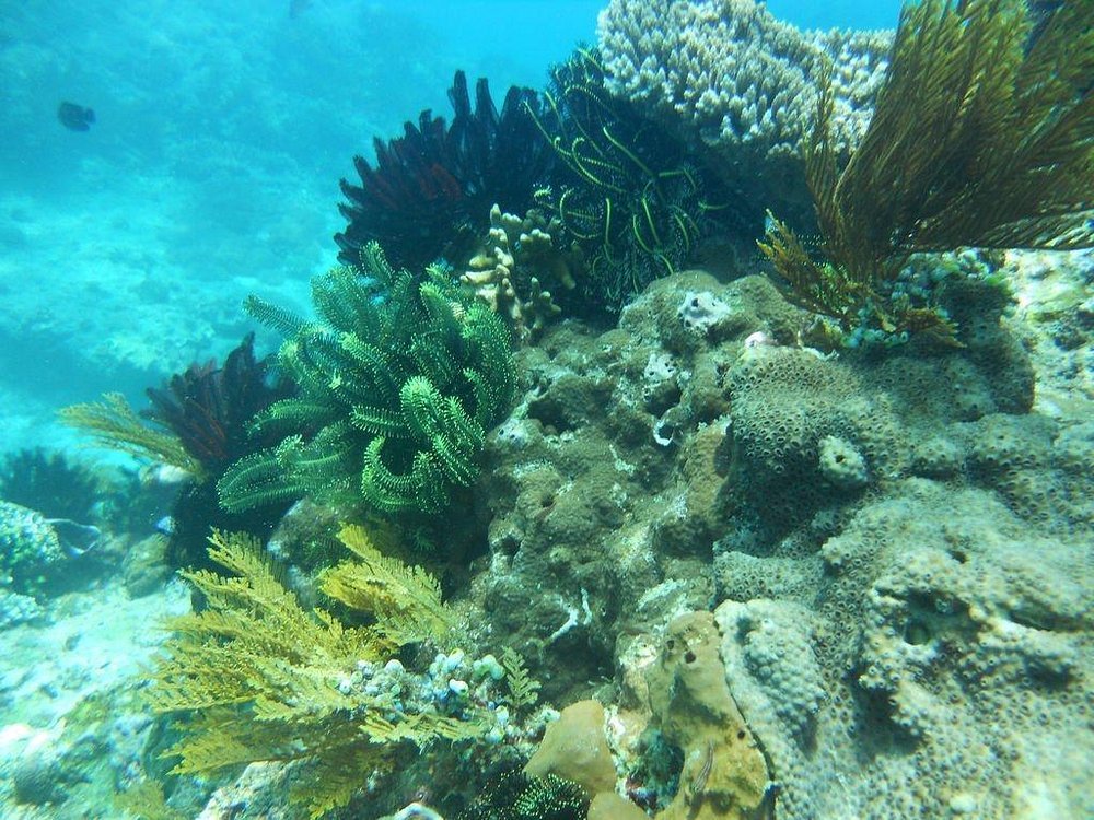 From Ubud: ATV Ride and Blue Lagoon Snorkeling Tour