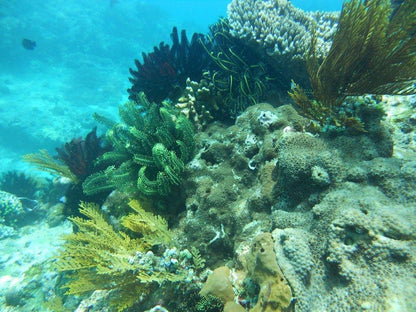 From Ubud: ATV Ride and Blue Lagoon Snorkeling Tour