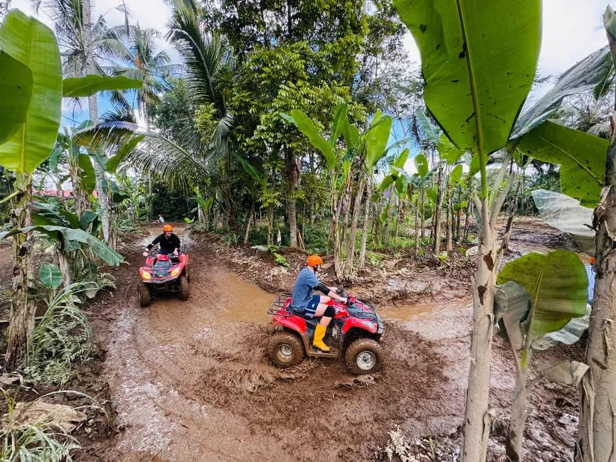 From Ubud: Waterfall, Jungle Swing and ATV Gorilla Cave Tour
