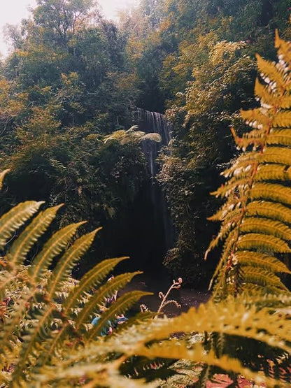 From Ubud: Waterfall, Jungle Swing and ATV Gorilla Cave Tour