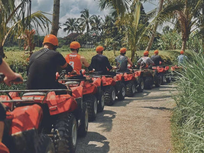 From Ubud: Waterfall, Jungle Swing and ATV Gorilla Cave Tour