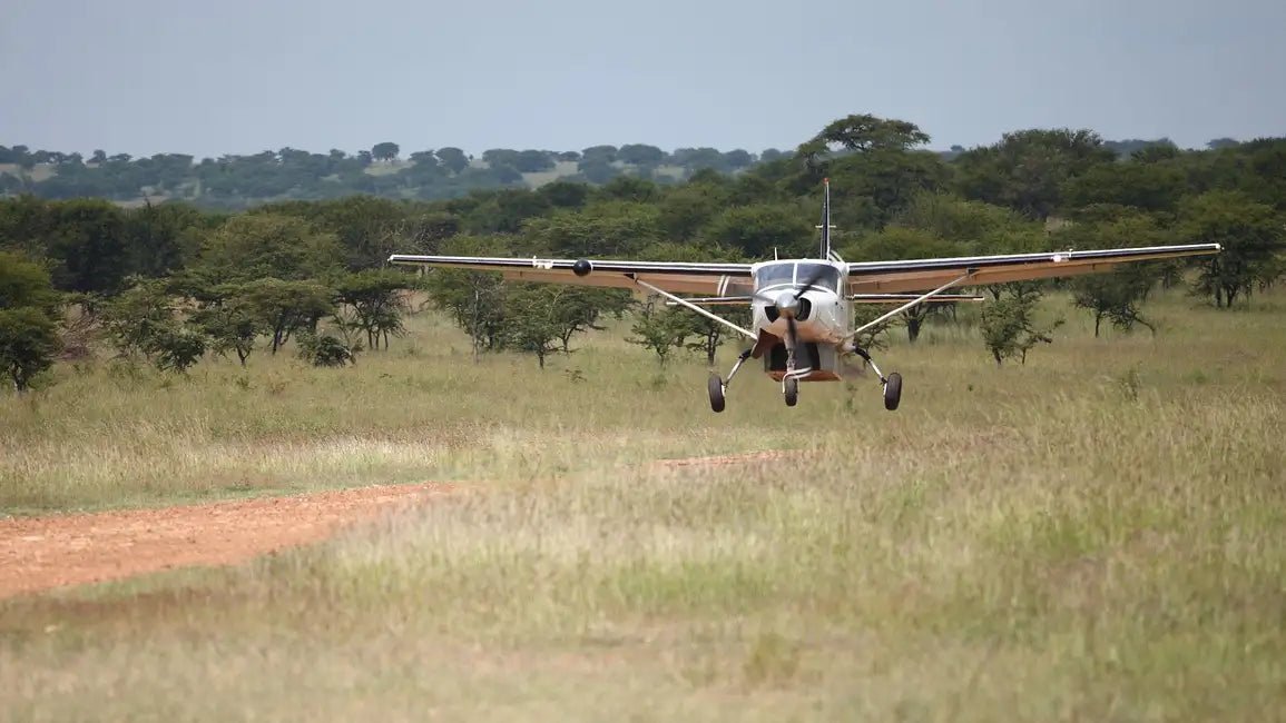 From Zanzibar: 1 - Day Mikumi National Park Safari by Flight