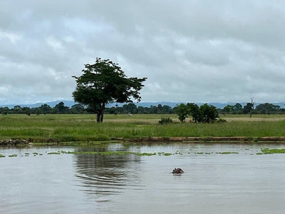 From Zanzibar: 3 - Days Mikumi National Park Safari with Train and Ferry