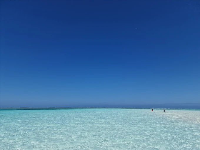 From Zanzibar: Blue Lagoon Snorkeling and Starfish Point Tour