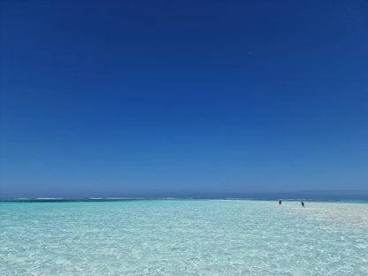 From Zanzibar: Blue Lagoon Snorkeling and Starfish Point Tour