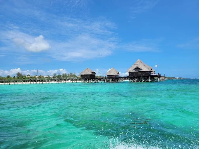 From Zanzibar: Blue Lagoon Snorkeling and Starfish Point Tour