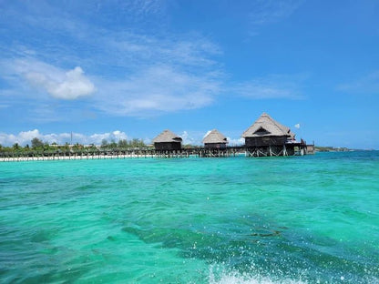 From Zanzibar: Blue Lagoon Snorkeling and Starfish Point Tour