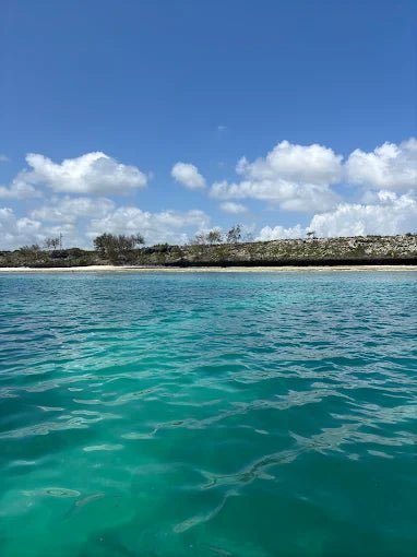 From Zanzibar: Blue Lagoon Snorkeling and Starfish Point Tour