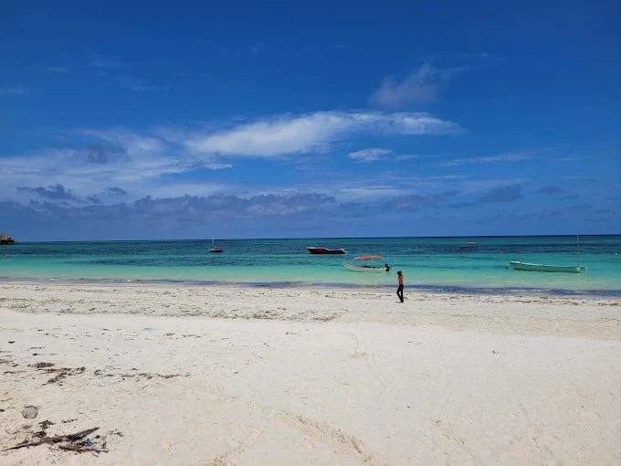 From Zanzibar: Blue Lagoon Snorkeling and Starfish Point Tour