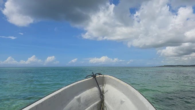 From Zanzibar: Blue Lagoon Snorkeling and Starfish Point Tour