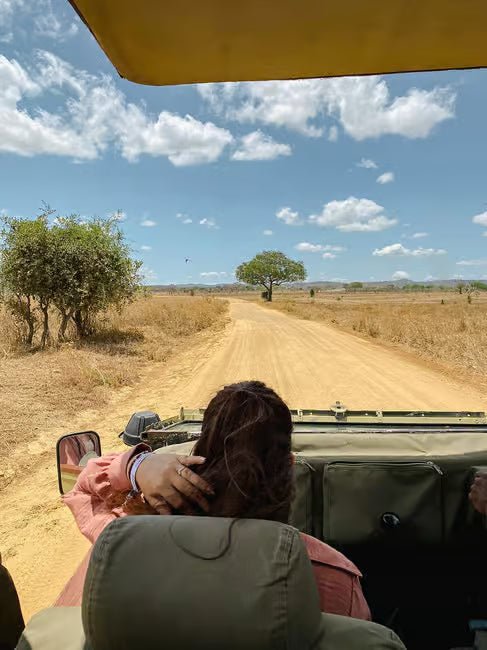From Zanzibar: Mikumi National Park 1 - Day Safari by Flight