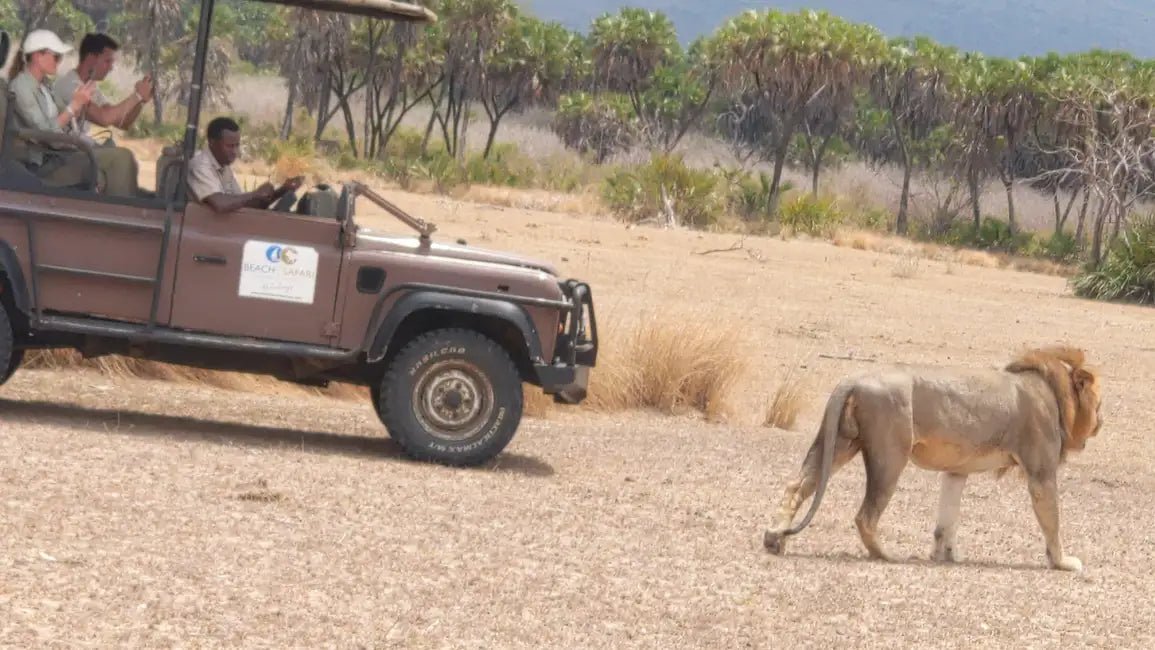 From Zanzibar: Mikumi National Park 1 - Day Safari by Flight