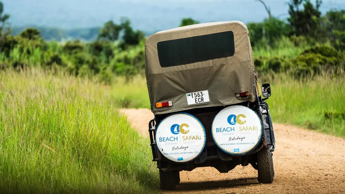 From Zanzibar: Mikumi National Park 1 - Day Safari by Flight