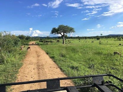 From Zanzibar: Mikumi National Park Day Safari by Flight