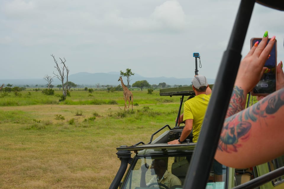 From Zanzibar: Mikumi National Park Guided Safari by Flight