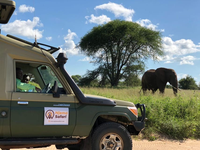 From Zanzibar: Mikumi National Park Guided Safari by Flight