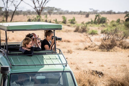 From Zanzibar: Mikumi National Park Safari Day Trip with Game Drive