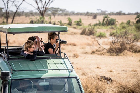 From Zanzibar: Mikumi National Park Safari Day Trip with Game Drive
