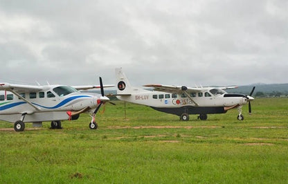 From Zanzibar: Mikumi National Park Safari Day Trip with Game Drive