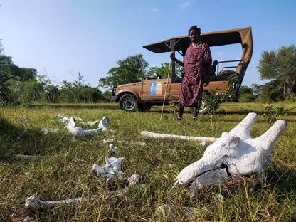 From Zanzibar: Selous Game Reserve Day Safari with Flights and Bush Lunch