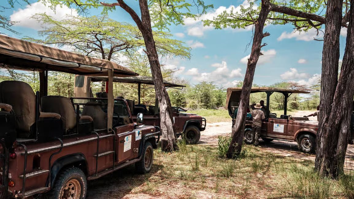From Zanzibar: Selous Game Reserve Day Safari with Flights and Bush Lunch