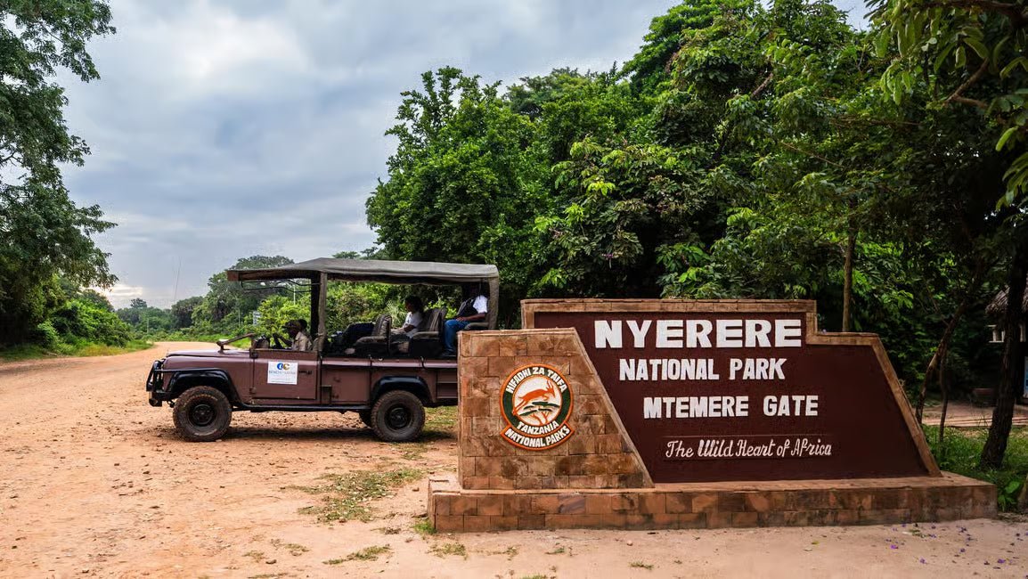 From Zanzibar: Selous Game Reserve Day Safari with Flights and Bush Lunch