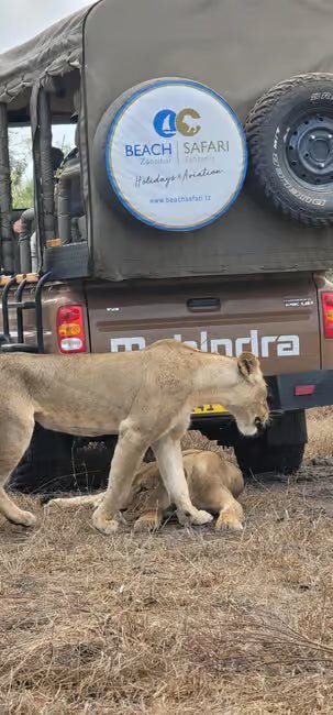 From Zanzibar: Selous Game Reserve Day Safari with Flights and Bush Lunch