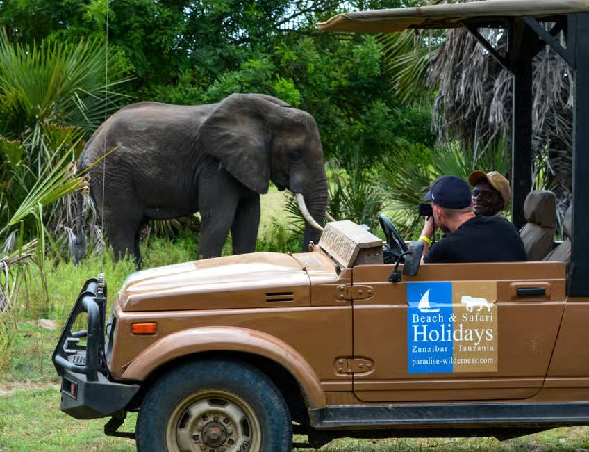 From Zanzibar: Selous Game Reserve Day Safari with Flights and Bush Lunch