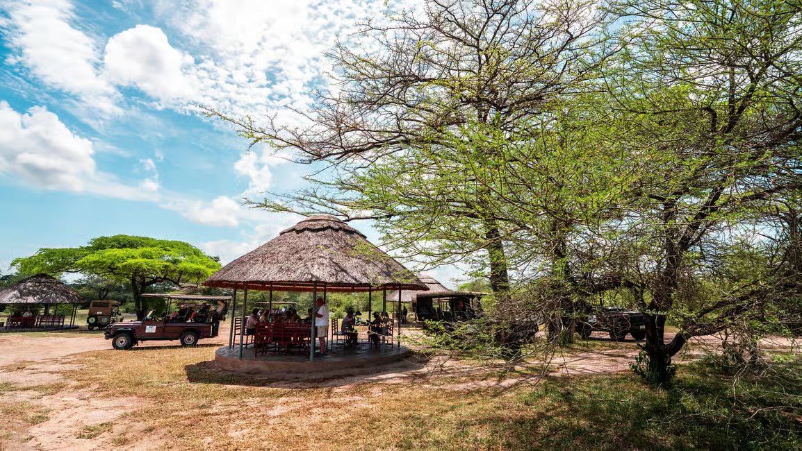 From Zanzibar: Selous Game Reserve Day Safari with Flights and Bush Lunch