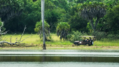 From Zanzibar: Selous Game Reserve Day Safari with Flights and Bush Lunch