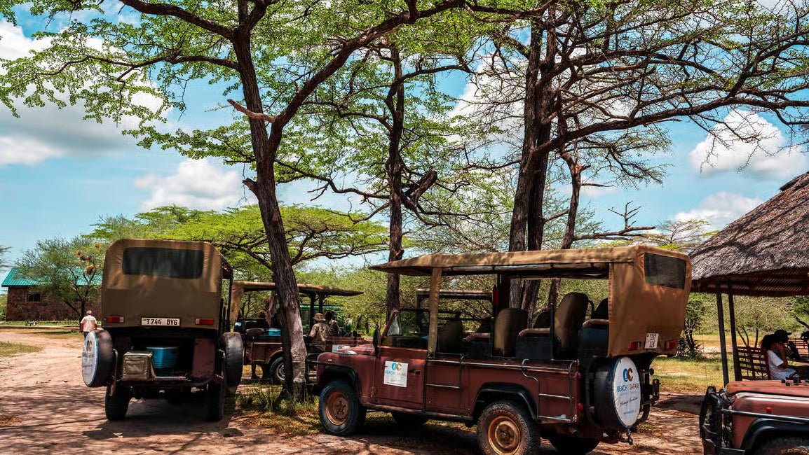 From Zanzibar: Selous Game Reserve Day Safari with Flights and Bush Lunch