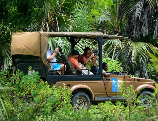 From Zanzibar: Selous Game Reserve Day Safari with Flights and Bush Lunch
