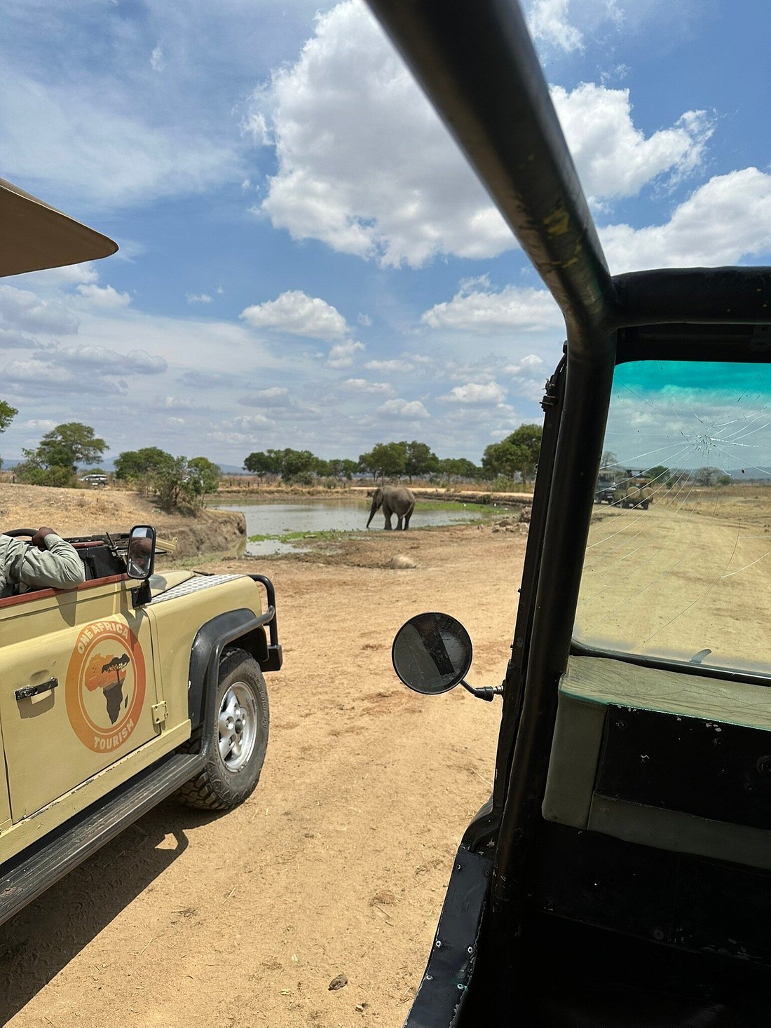 From Zanzibar: Wildlife Safari Day Trip at Mikumi National Park by Flight