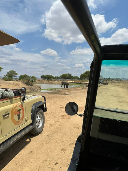From Zanzibar: Wildlife Safari Day Trip at Mikumi National Park by Flight