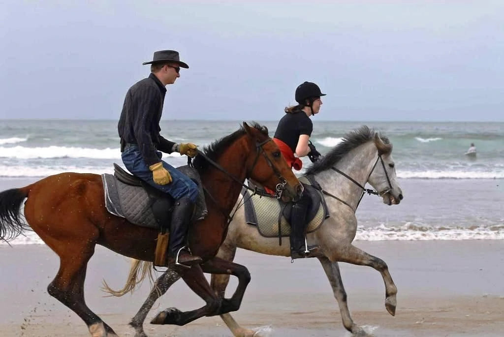 From Agadir or Taghazout: Beach Horseback Ride